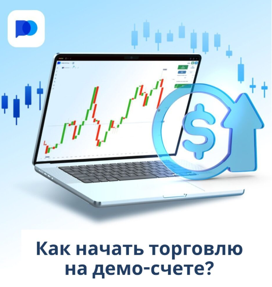 Discover the World of Trading with Pocket Option