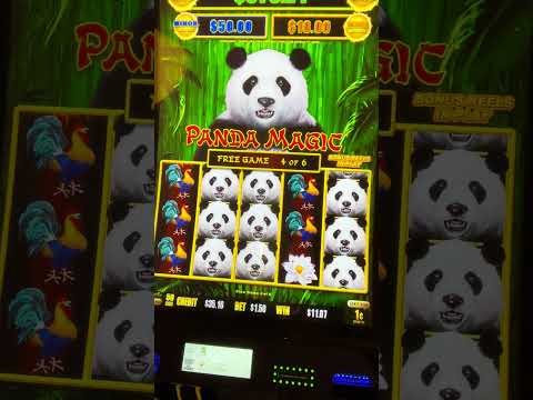 Explore the Exciting World of Casino Spinpanda UK Explore the Exciting World of Casino Spinpanda UK